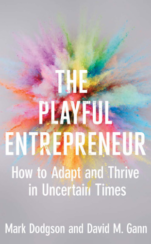 The Playful Entrepreneur: How to Adapt and Thrive in Uncertain Times