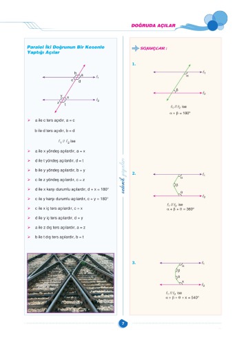 Endemik Üçgenler Soru Bankası 2018-19