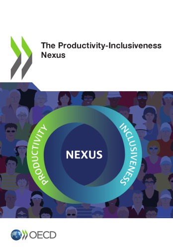 The Productivity Paradox