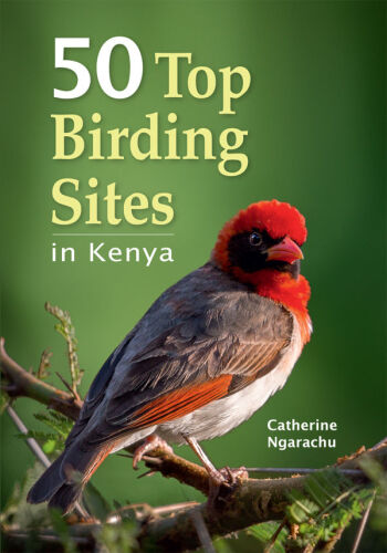 50 Top Birding Sites in Kenya