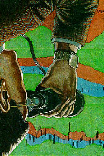 Using Bollinger Bands