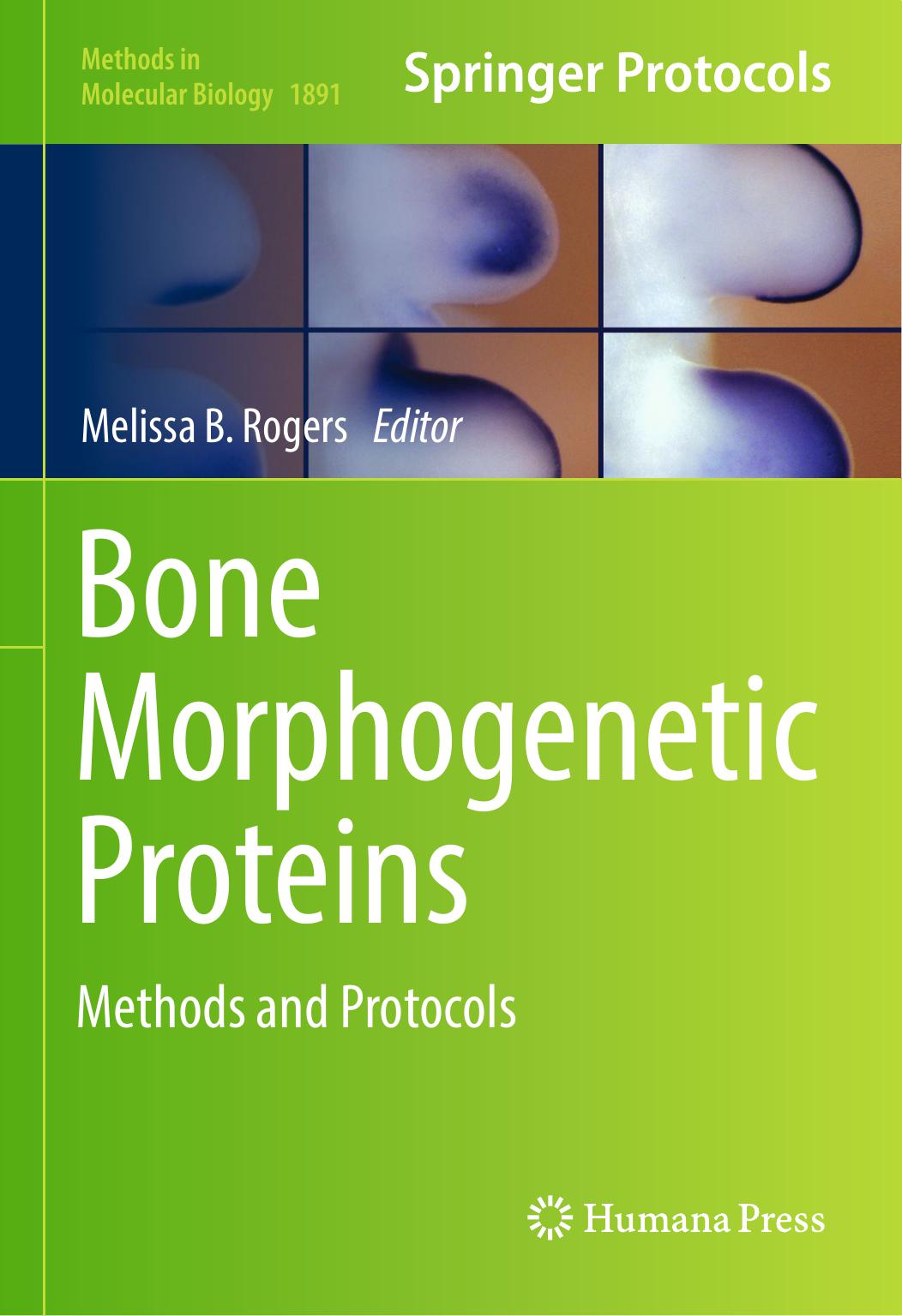 Bone Morphogenetic Proteins: Methods and Protocols