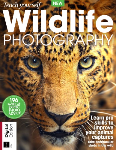 Teach Yourself Wildlife Photography