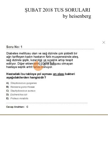 Şubat Tus Sınavı Soruları