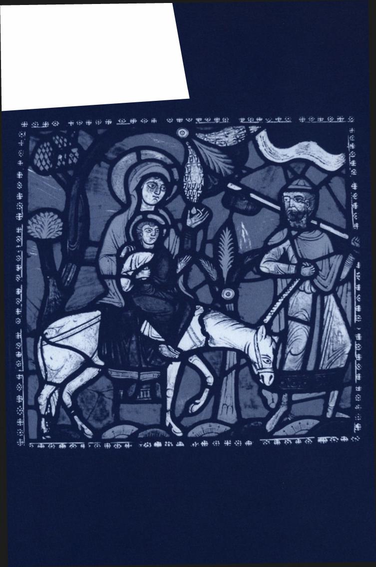 Radost z Bible : cesty k hlubšímu porozumění Sv. Písmu