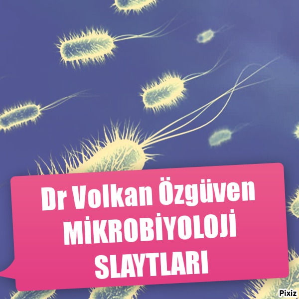Mikrobiyoloji Slaytları