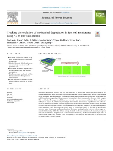 Tracking the evolution of mechanical degradation in fuel cell membranes using 4D in situ visualization [article]