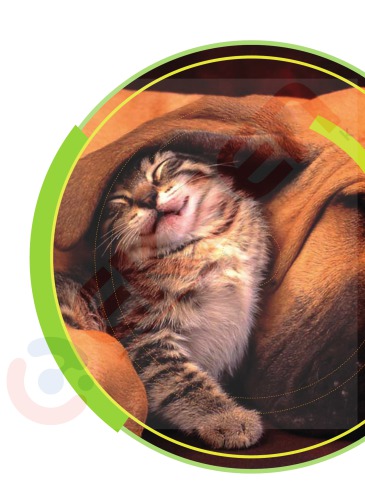 CANLILARIN ORTAK ÖZELL KLER (Eksen TYT Biyoloji Konu Anlatımı)