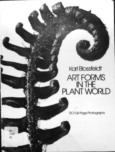 Art Forms in the Plant World
