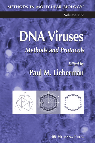 DNA Viruses: Methods and Protocols