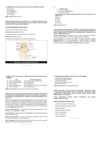 2. Deneme Soru ve Açıklamalı Cevap Kitapçıkları