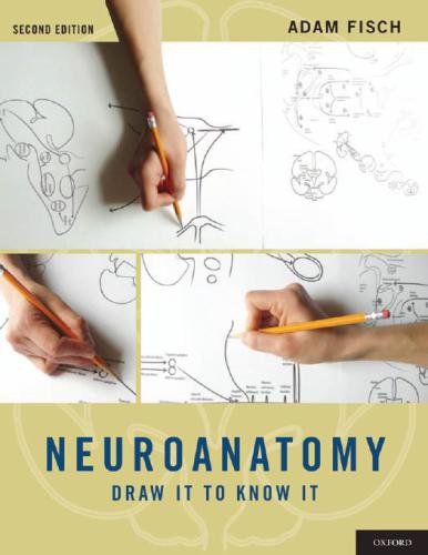 draw it to know it - neuroanatomy video lessons