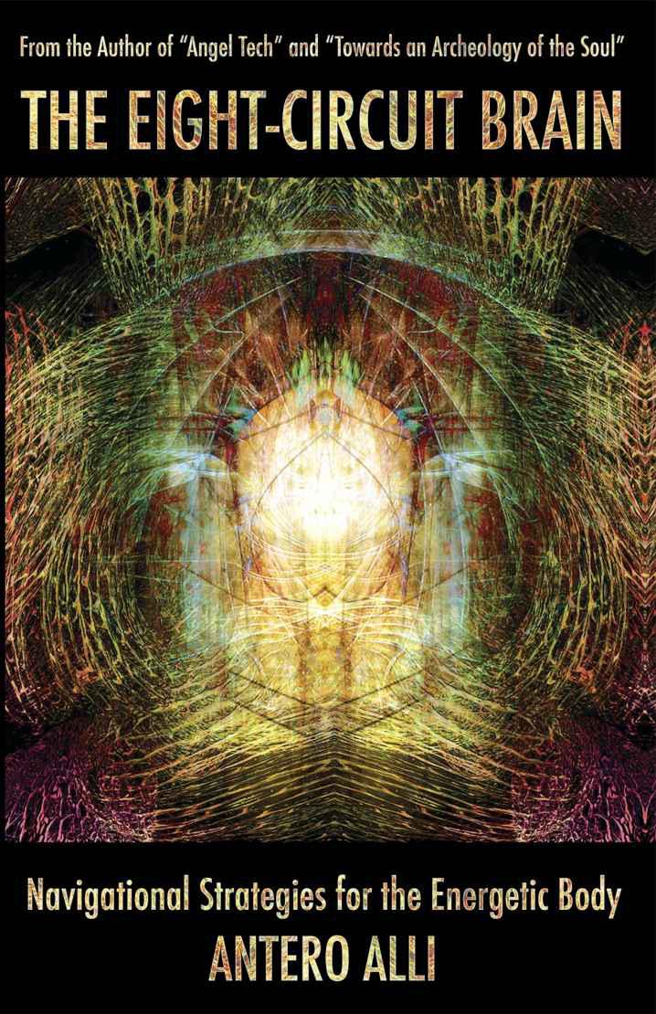 The Eight-Circuit Brain: Navigational Strategies for the Energetic Body
