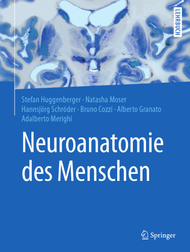 Neuroanatomie des Menschen