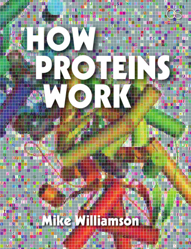 How proteins work