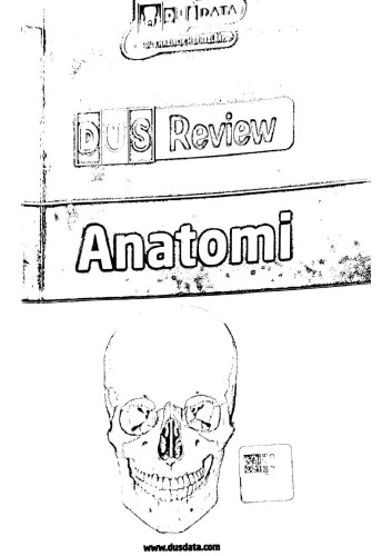 Anatomi