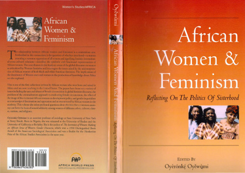African Women & Feminism. Reflecting on the Politics of Sisterhood