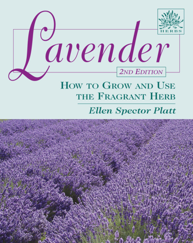 Lavender: How to Grow and Use the Fragrant Herb
