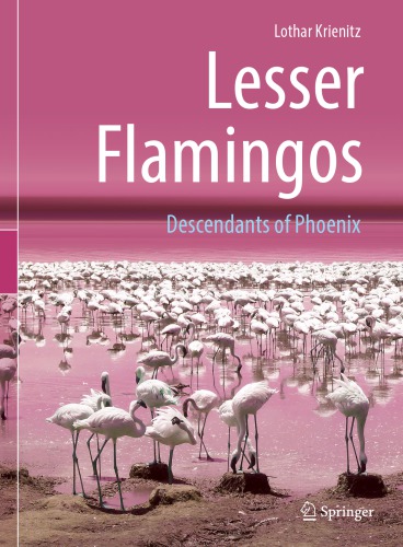 Lesser Flamingos: Descendants of Phoenix