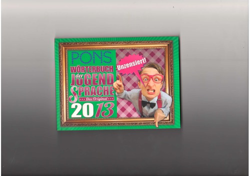 PONS Wörterbuch der Jugendsprache 2013: Das Original