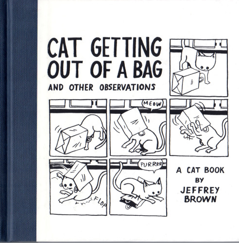 Cat Getting Out of a Bag: And Other Observations
