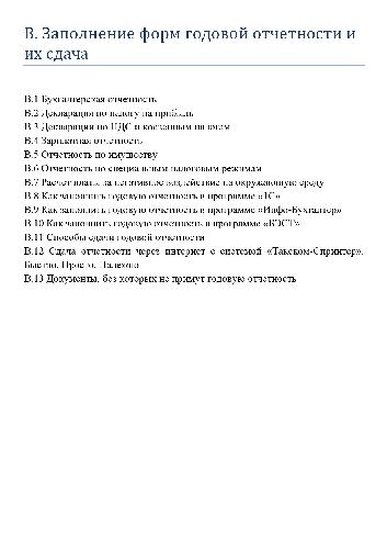 Годовой отчет 2008 (Раздел B: Заполнение форм годовой отчетности и их сдача)