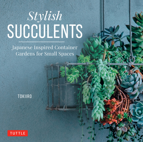Stylish Succulents: Japanese Inspired Container Gardens for Small Spaces