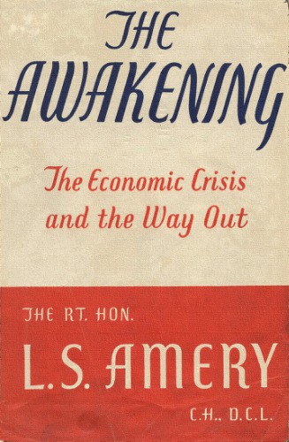 The Awakening: The Economic Crisis and the Way Out