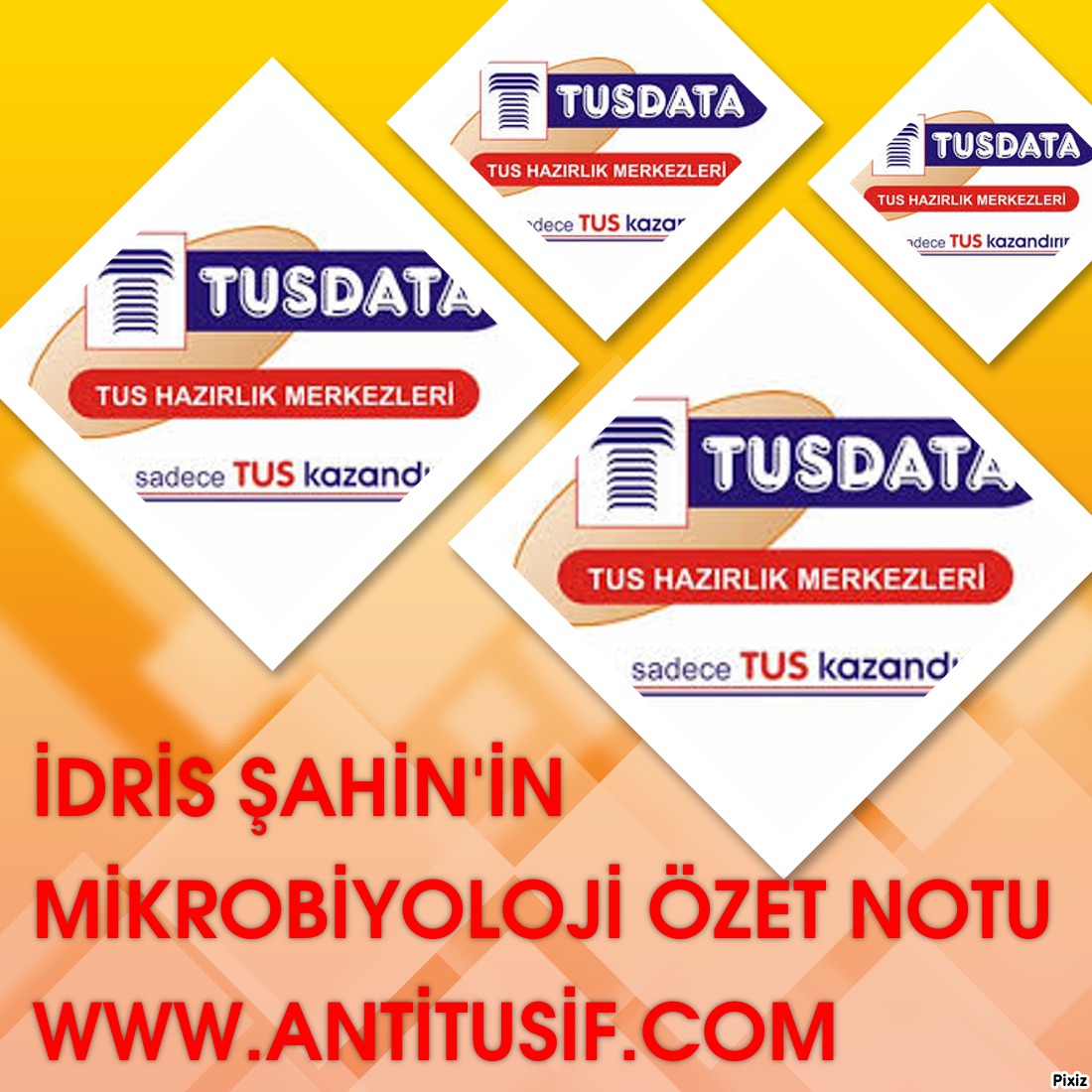 Mikrobiyoloji Özet Notu