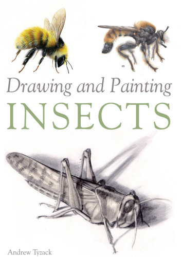 Drawing and Painting Insects