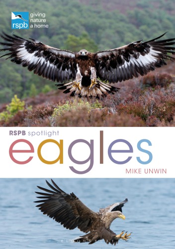 Spotlight: Eagles