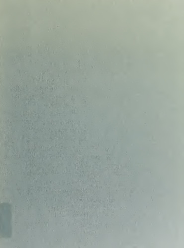 Architekturgeschichte der Stadt. Von Babylon bis Brasilia