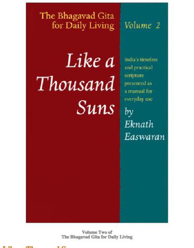 Like a Thousand Suns: The Bhagavad Gita for Daily Living, Volume 2