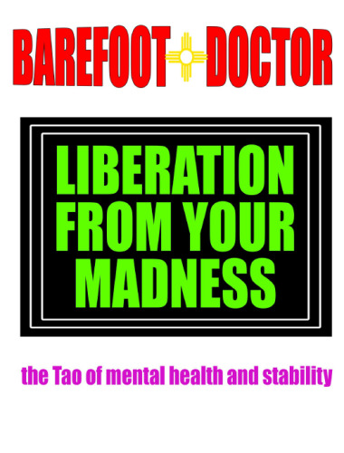 Liberation From Your Madness: the Tao of mental health and stability