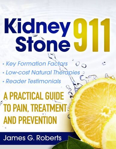 Kidney Stone 911: A Practical Guide to Pain, Treatment and Prevention   B00AOD8DKM