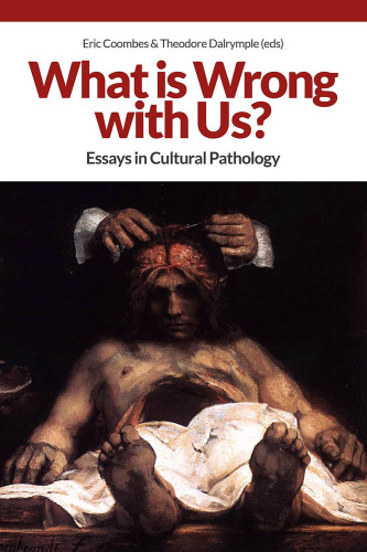 What Is Wrong with Us?: Essays in Cultural Pathology