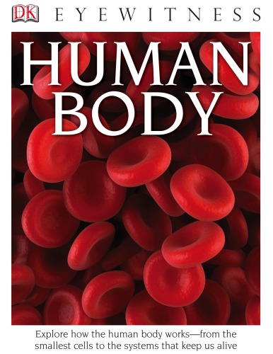 Human Body