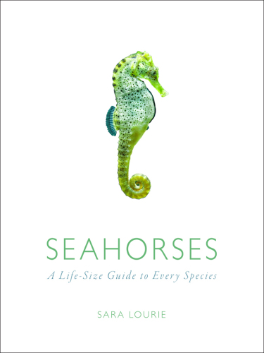 Seahorses: A Life-Size Guide to Every Species