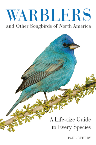 Warblers and Other Songbirds of North America: A Life-Size Guide to Every Species