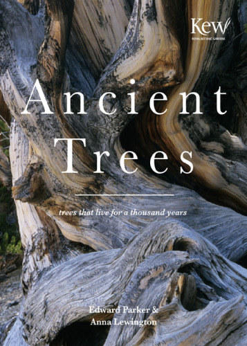 Ancient Trees: Trees That Live for a Thousand Years