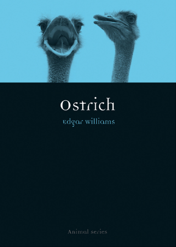 Ostrich