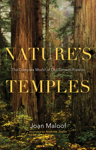Nature’s Temples: The Complex World of Old-Growth Forests