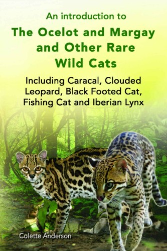 An Introduction to the Ocelot and Margay and Other Rare Wild Cats Including Caracal, Clouded Leopard, Black Footed Cat, Fishing Cat and Iberian Lynx