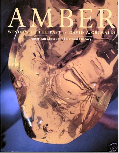 Amber: window to the past