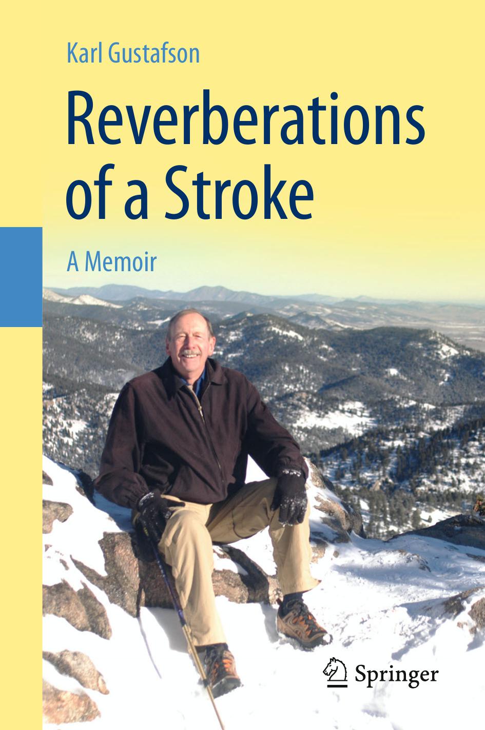 Reverberations of a stroke: a memoir.