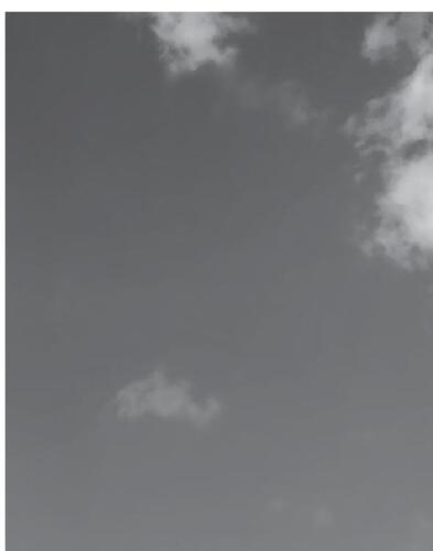 Be a Free Range Human: Escape the 9-5, Create a Life You Love and Still Pay the Bills