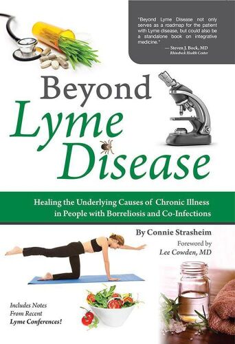 Beyond Lyme Disease: Healing the Underlying Causes of Chronic Illness in People with Borreliosis and Co-Infections