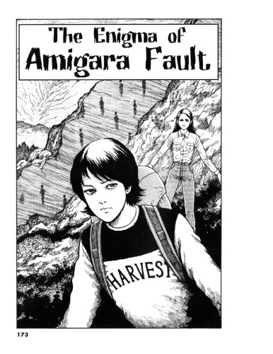 The Enigma of Amigara Fault