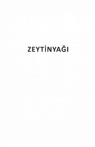 Zeytinyagi
