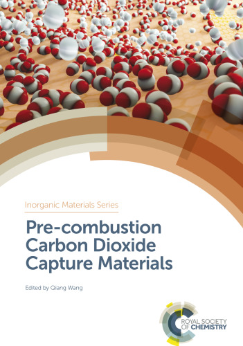 Pre-combustion carbon dioxide capture materials